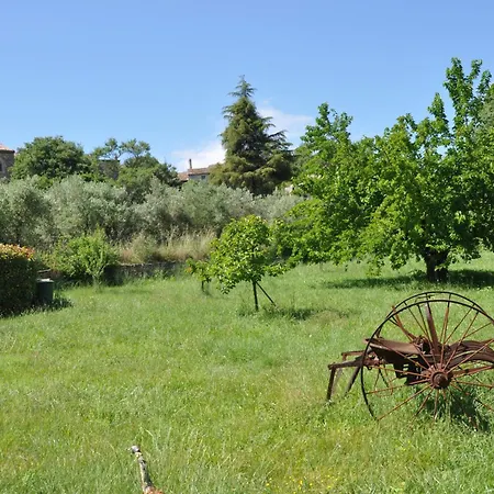Terre D'oliviers Issirac