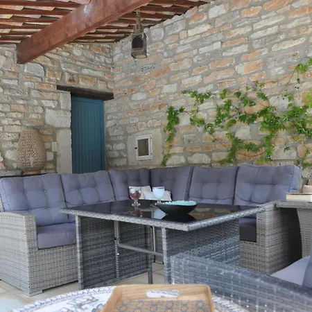 Terre D'oliviers