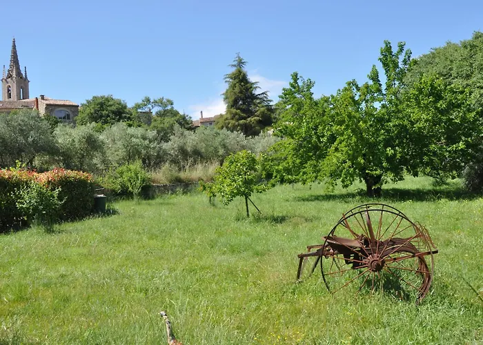 Terre D'oliviers Issirac
